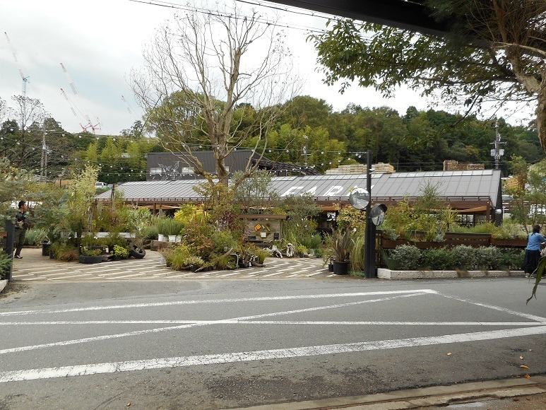 470 ザ ファームス ユニバーサル 茨木市 古民家アンティークギャラリーカフェ なつめのブログ 470 ザ ファームス ユニバーサル 茨木市 古民家アンティークギャラリーカフェ なつめのブログ