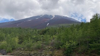 IMG_4799a.jpg
